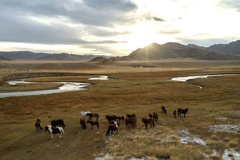 Lac Terkhiin Tsagaan