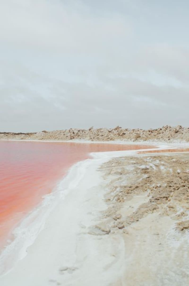 Cuenca de Uvs Nuur