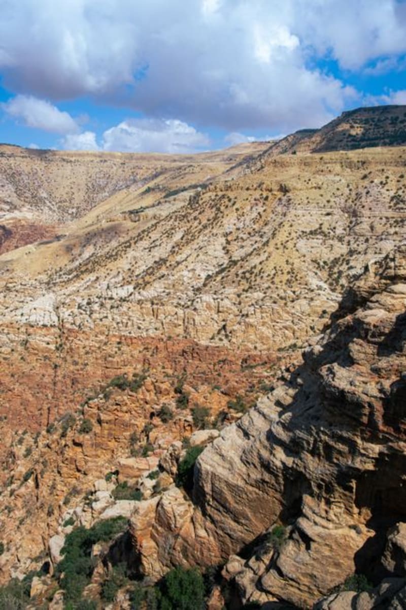 Dana Biosphere Reserve
