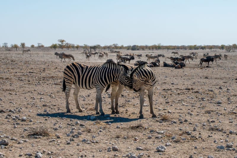 Etosha Pan