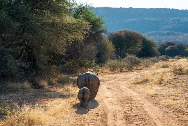 Waterberg Plateau National Park