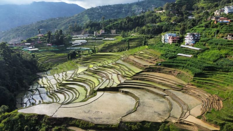 Dadeldhura