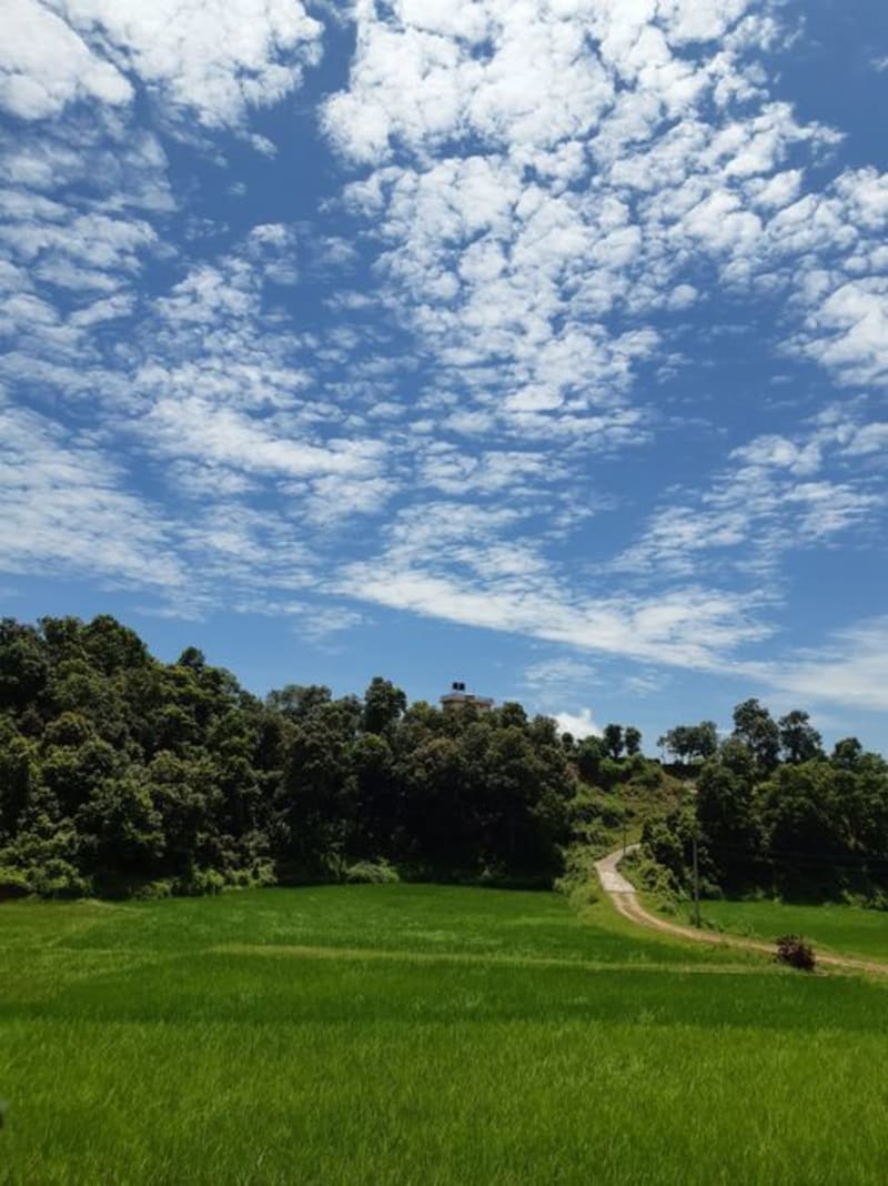 Surkhet