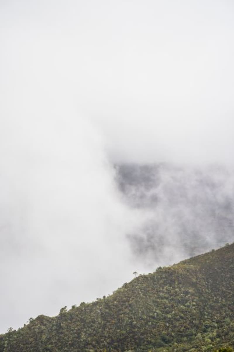 Mont Panié
