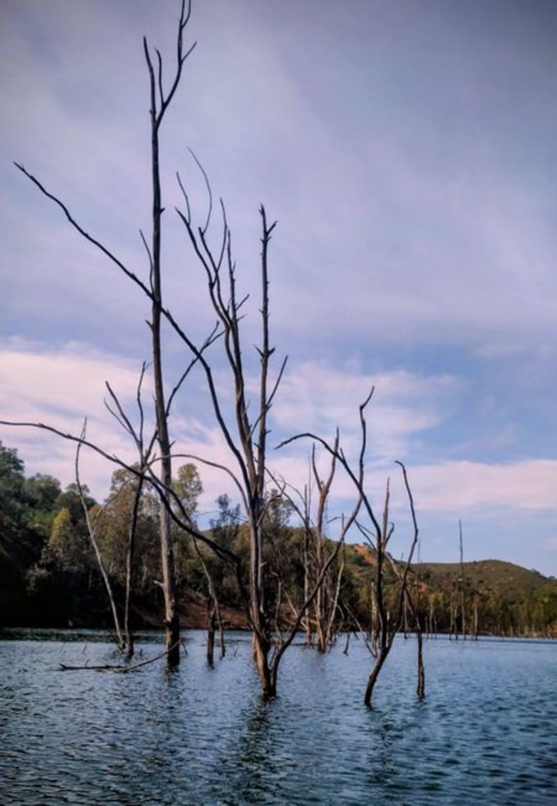 Rivière Bleue