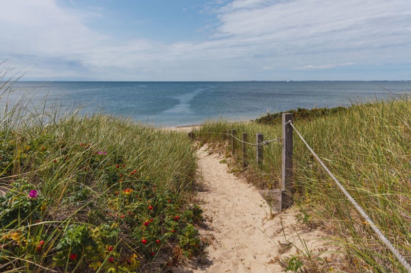 Cape Cod