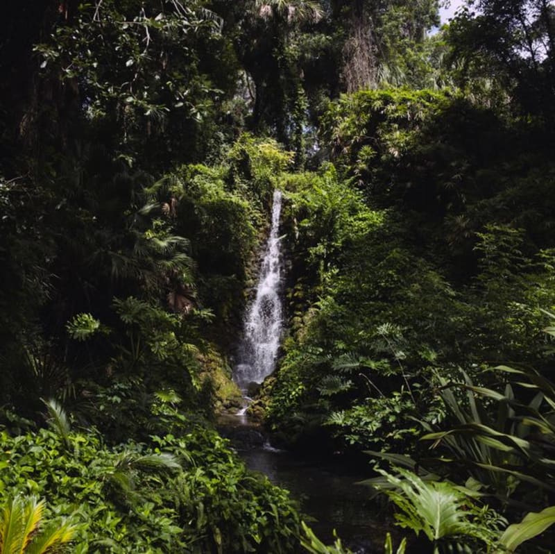 El Tuma-La Dalia