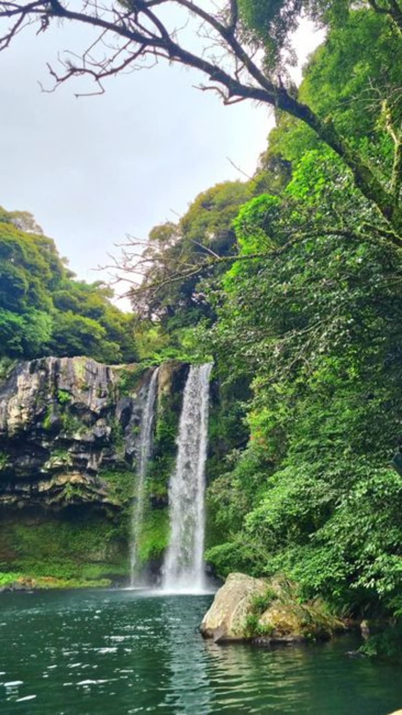 Tisey-Estanzuela Nature Reserve
