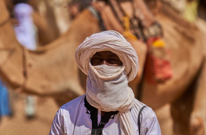 Desierto del Ténéré