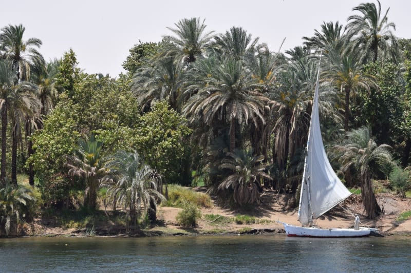 Zagazig