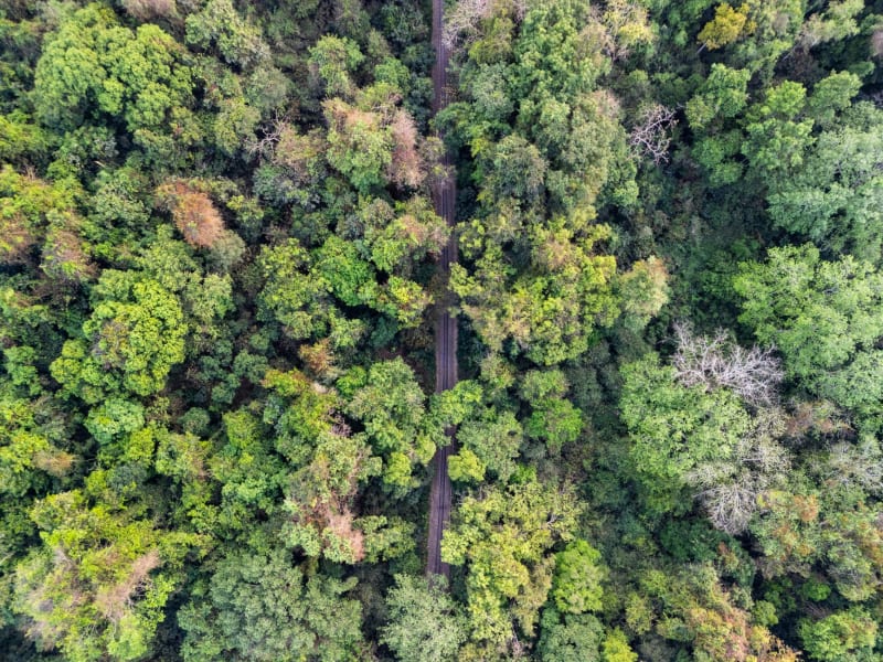 Parque Nacional Litchfield