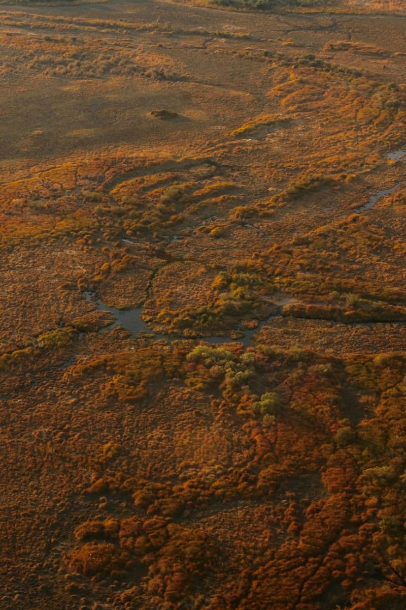 Duba Plains