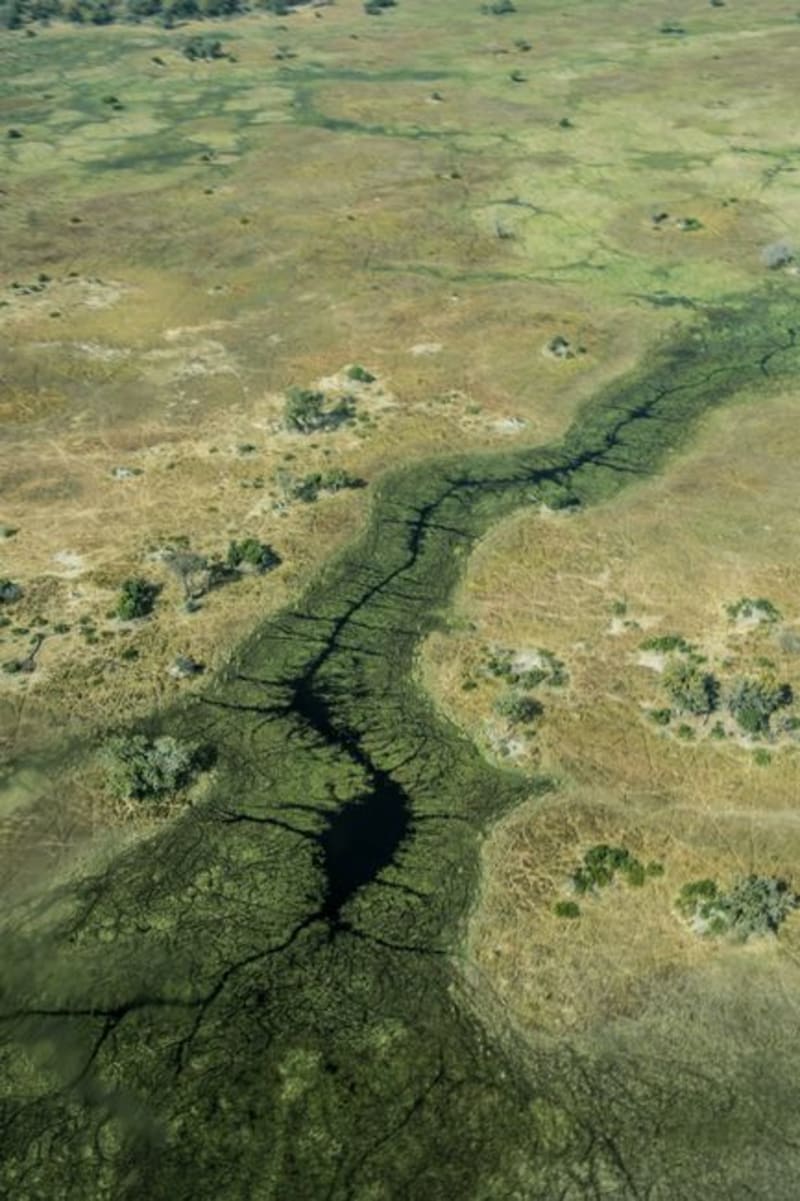 Vumbura Plains
