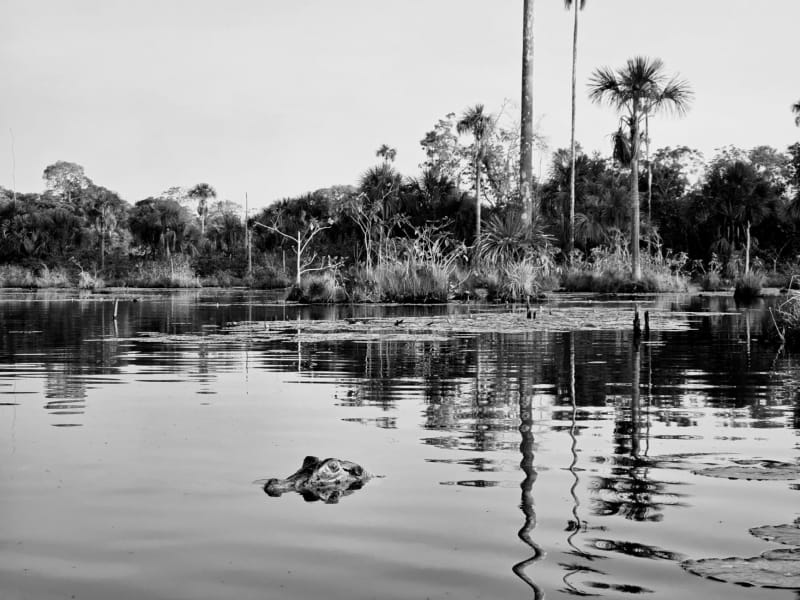 Lagon de Xakanaxa