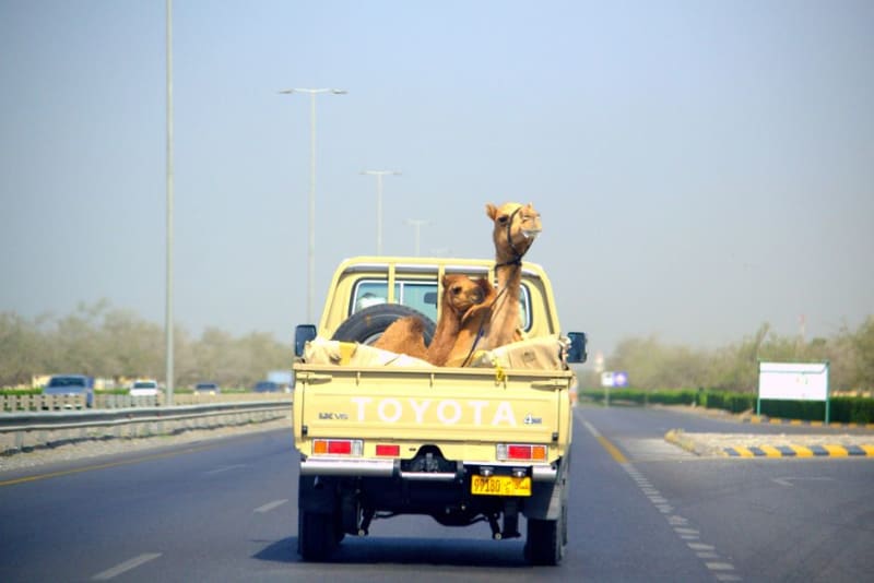 Liwa (Al Batinah)