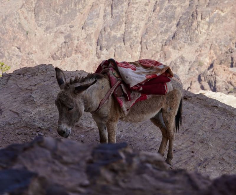 Wadi Bani Awf