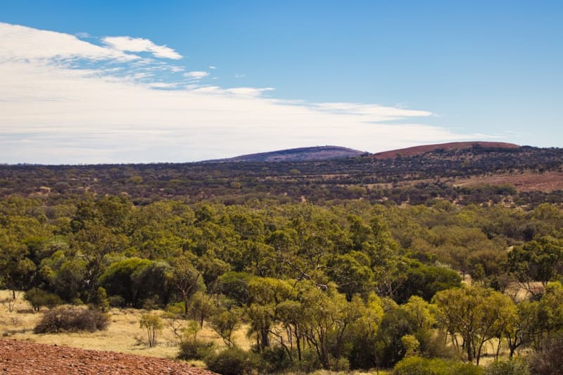 Arkaroola