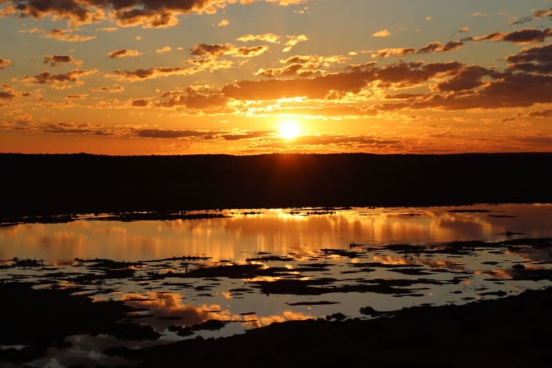 Birdsville