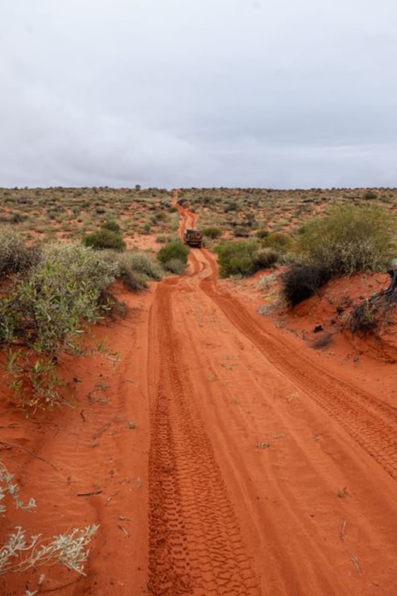 Oodnadatta Track