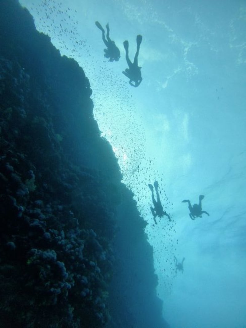 Tubbataha Reefs Natural Park