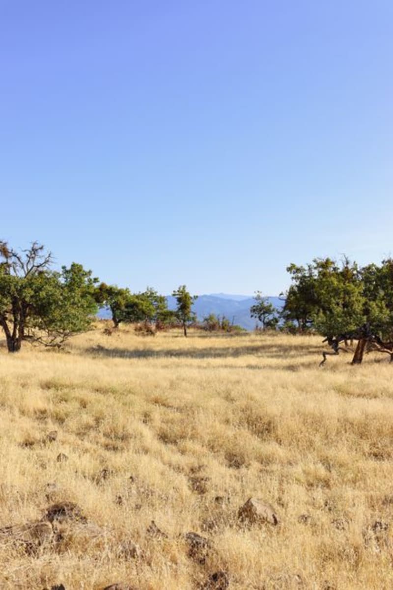 Parque Nacional Cerro Corá