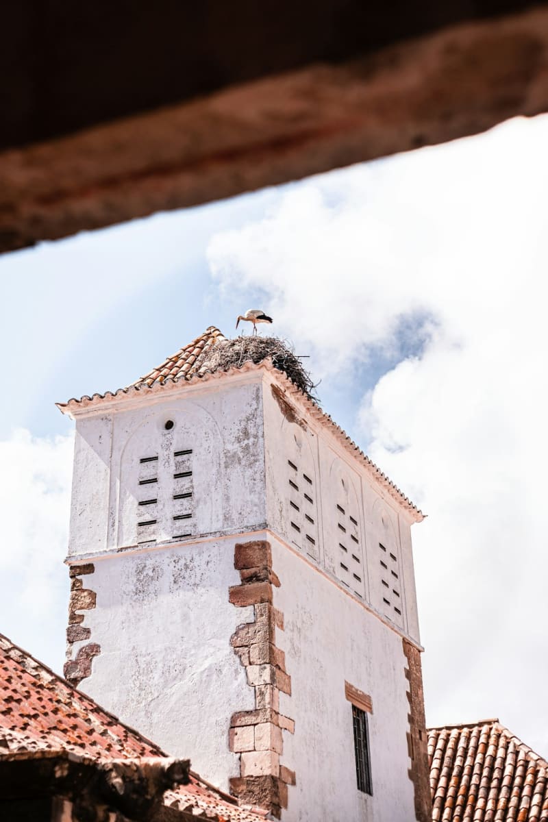 Yaguarón
