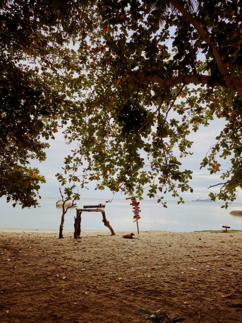 Pulau Jerejak