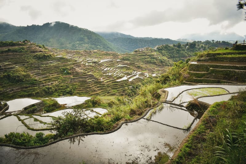 Terrazas de Arroz de Batad
