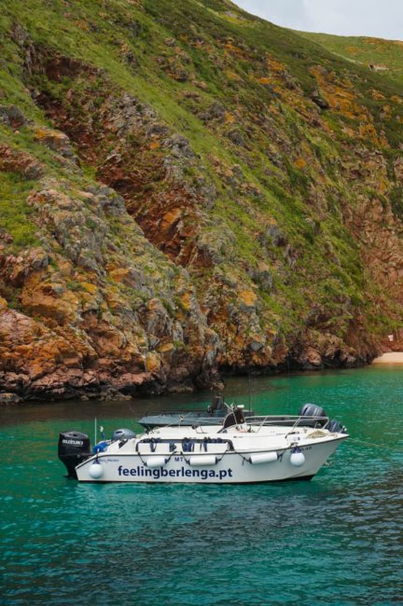 Berlenga Islands