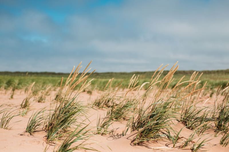 Brackley Beach