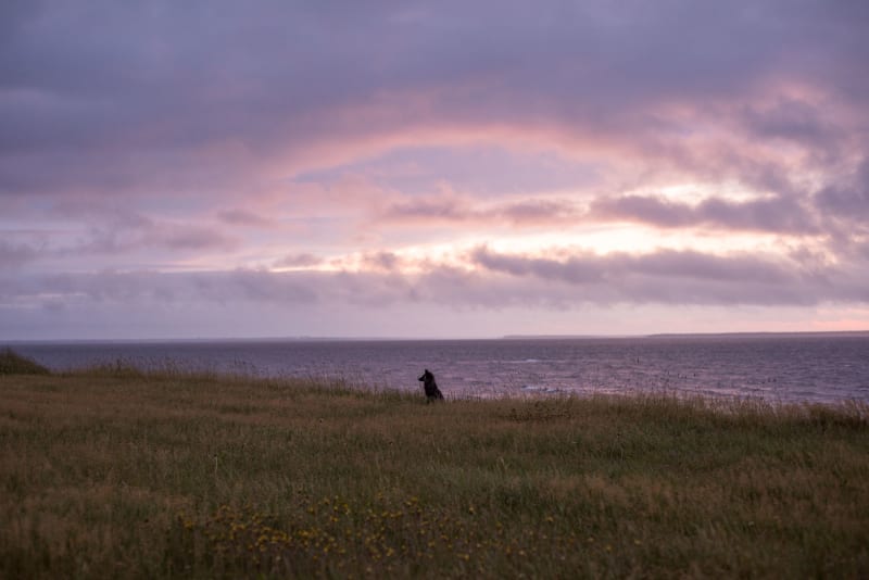 Tignish