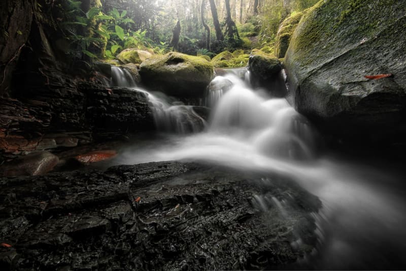 El Yunque