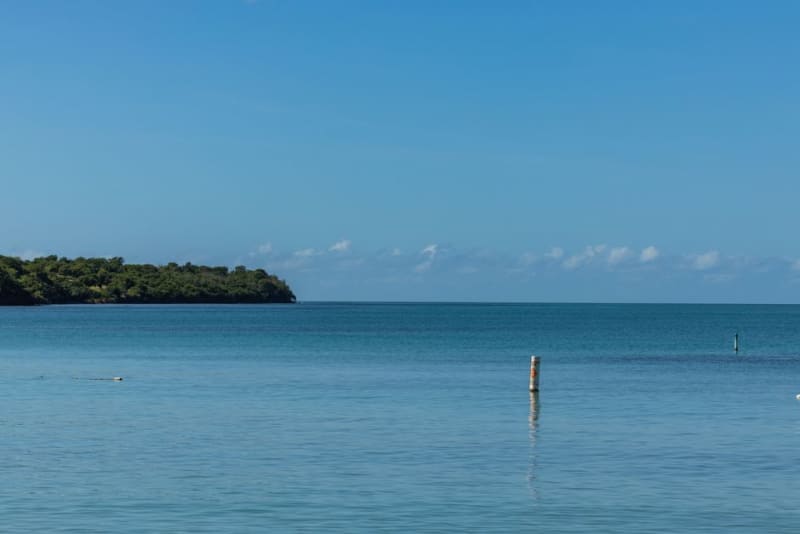 Guanica State Forest