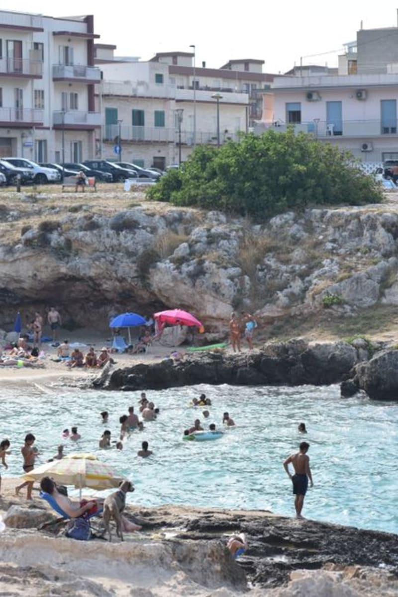 Campomarino
