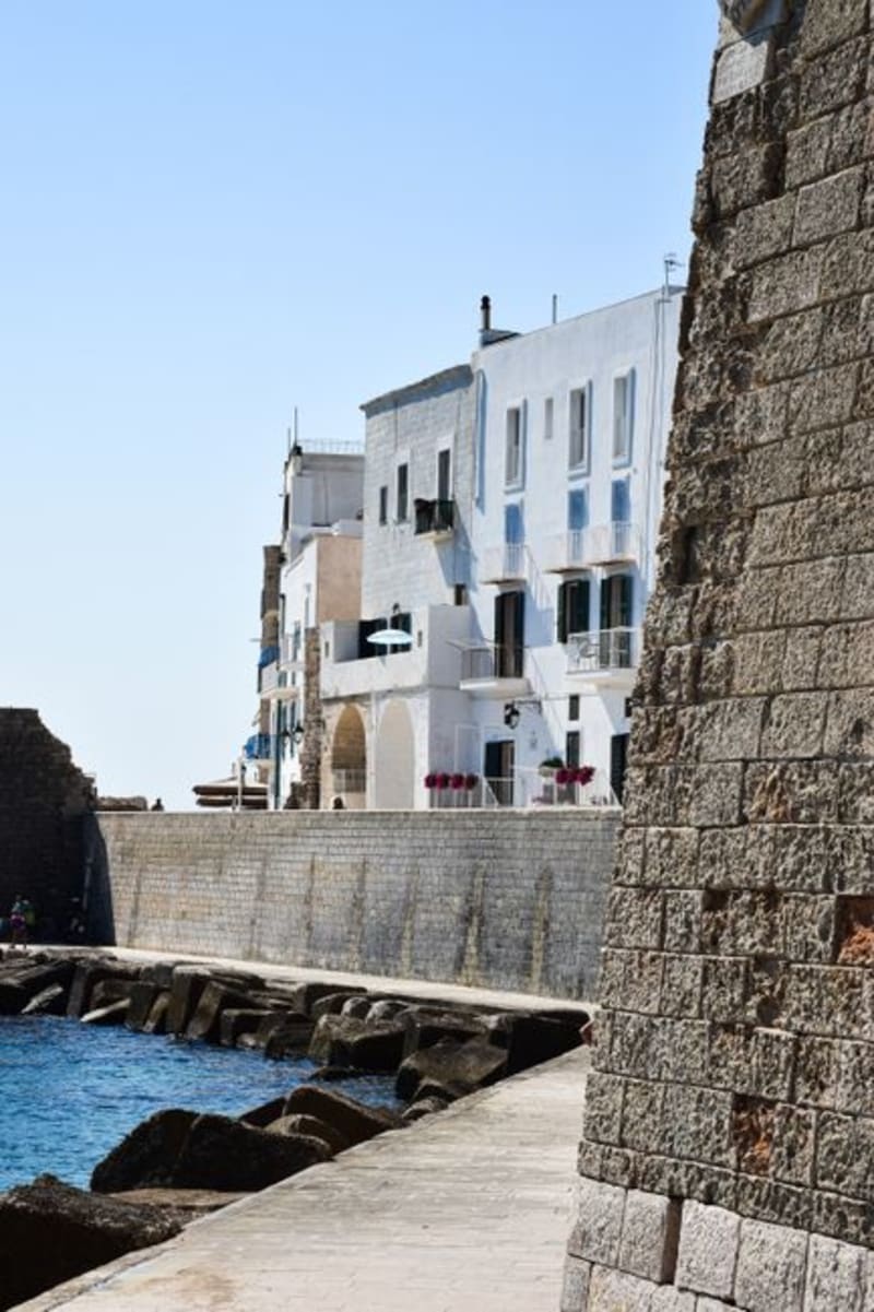 Monopoli