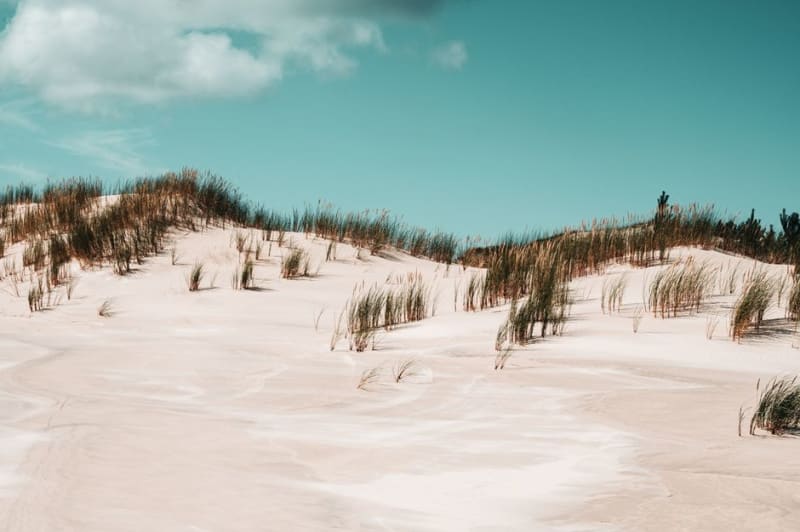 Dune du Sud