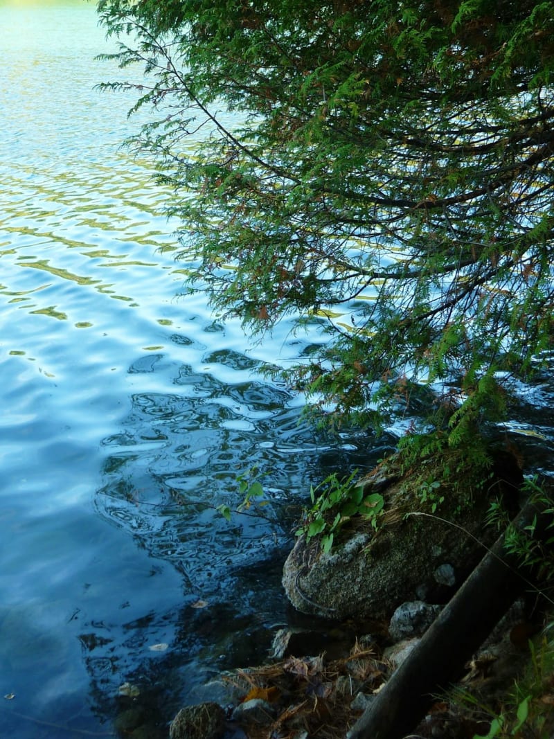 Parc de la Gatineau