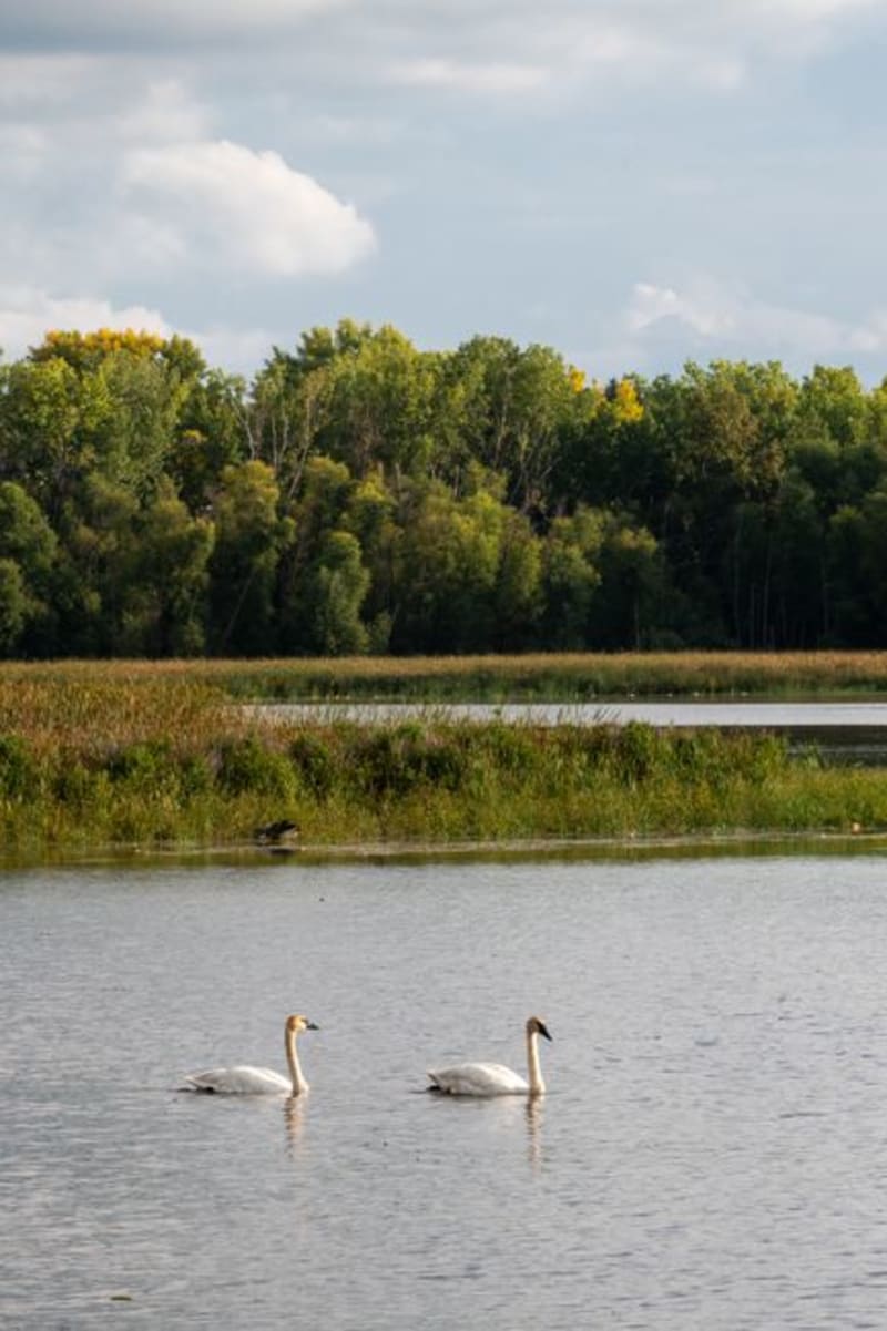Parc National de Plaisance