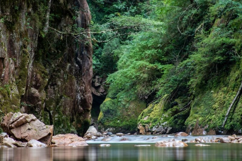 Carnarvon Gorge