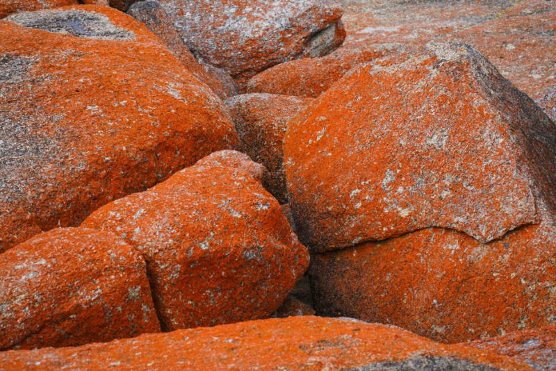 Granite Belt (Stanthorpe)