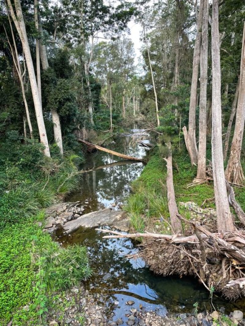 Lamington National Park