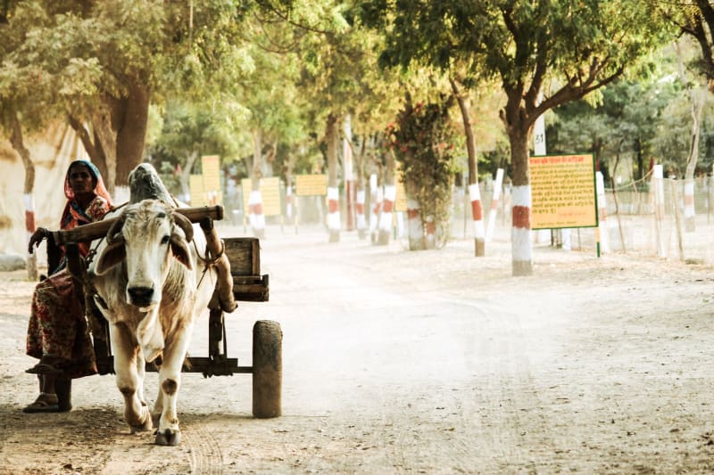 Bikaner