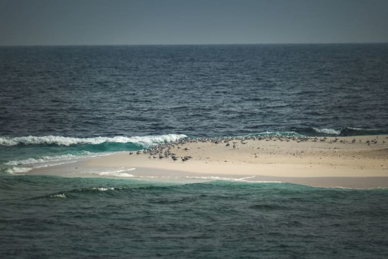 Giftun Island