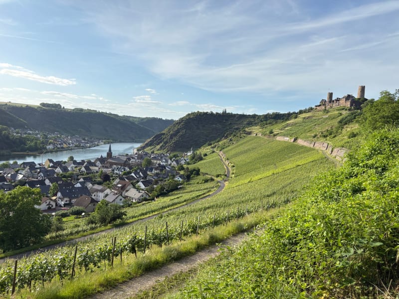Braubach