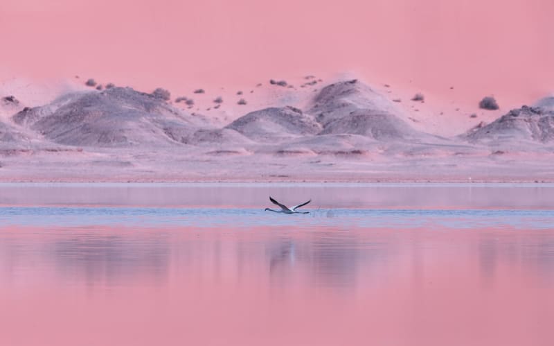 Chott el Jerid
