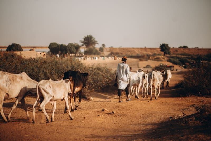 Agadez