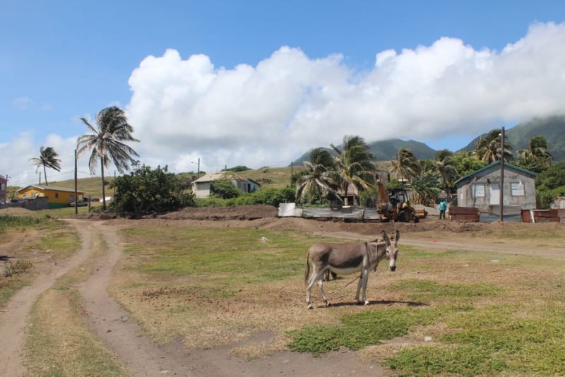 Fig Tree Village