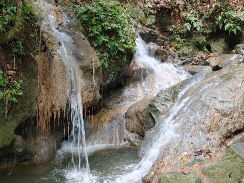 Jardin Botanique Diamond Falls