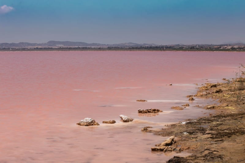 Lac Rose