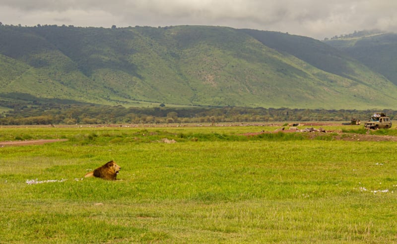 Ngorongoro Crater
